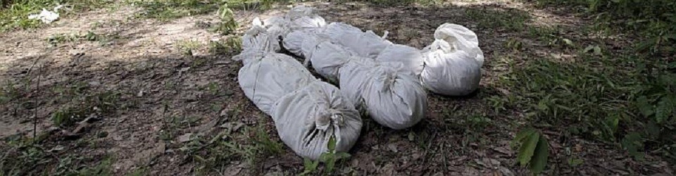 malaysia mass graves